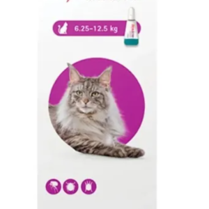 Bravecto gatos (6.25 – 12.5 kg) – 1.79 ml.