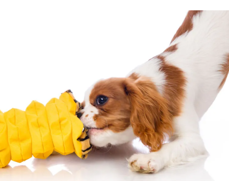 Hartz Double Play Pal Tiger - Imagen 5